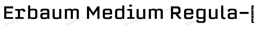 Erbaum Medium Regula字体转换